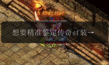想要精准鉴定传奇sf装备_必备材料一览(图1) 想要精准鉴定传奇sf装备_必备材料一览