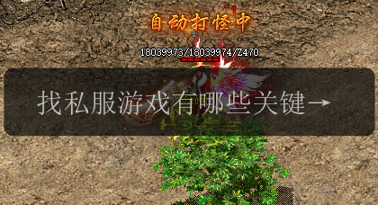 找私服游戏有哪些关键条件_必须知道这些!(图1) 找私服游戏有哪些关键条件_必须知道这些!