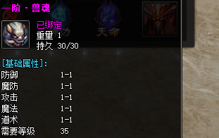 一阶魂兽装备图片